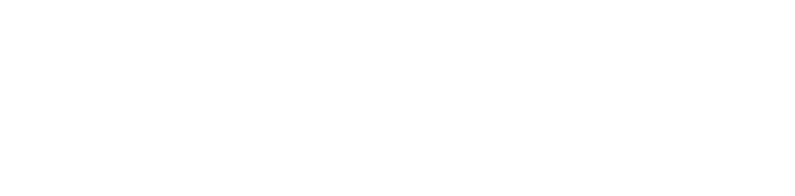 ScanTech Instruments white logo – Designed for branding on dark backgrounds